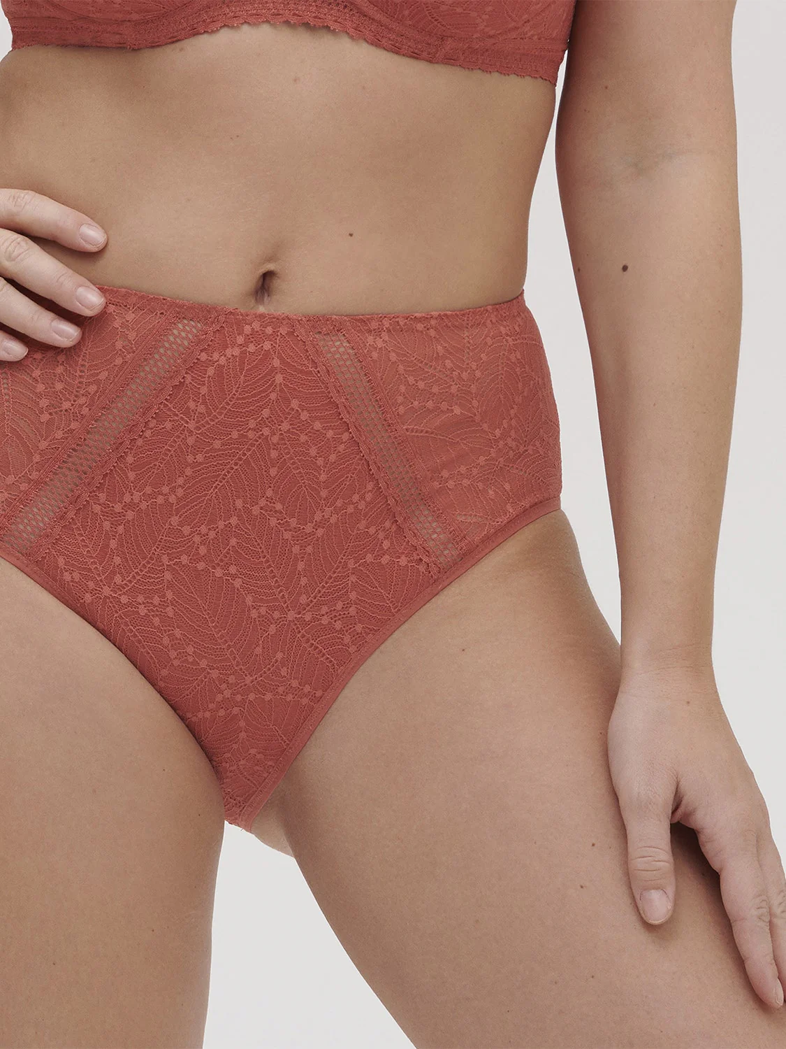 Comete Retro Brief - Texas Pink - Image 6