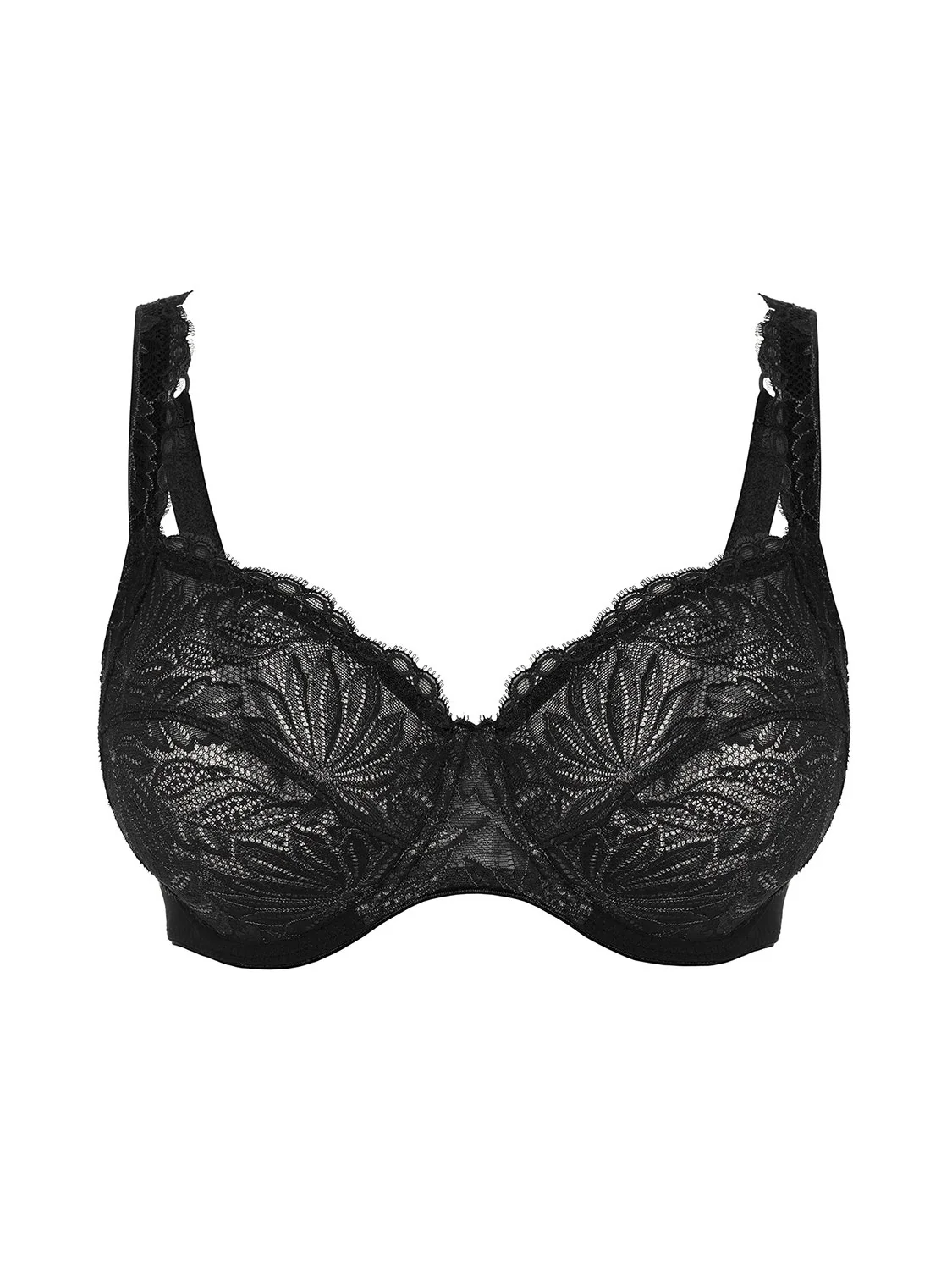 Exotica Full Cup - Black - Image 8